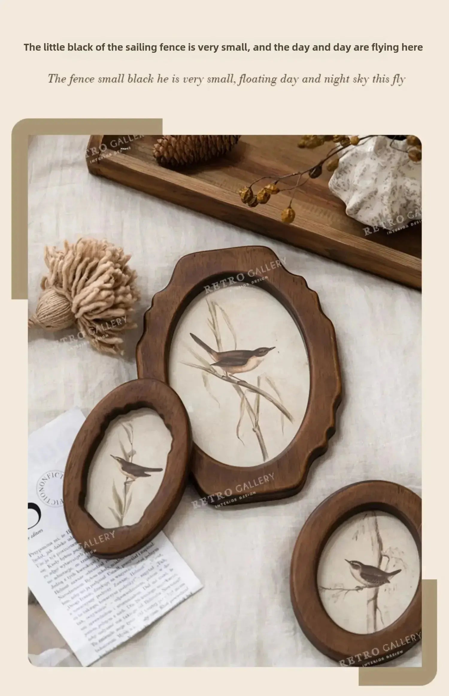 Antique Bird Wall Frame – French Vintage Wooden Hanging Décor - Femlinza