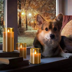 Flameless LED Candles with Remote – 3D Wick Battery Operated Set - Femlinza